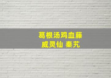 葛根汤鸡血藤 威灵仙 秦艽